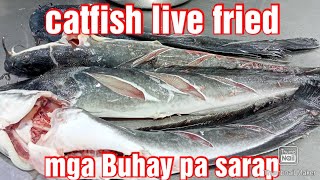 #Hito or #catfish live 4pcs #fried yummy