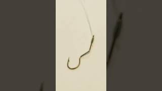 Check Out My Automatic Flip Hook Video. #shorts #ytshorts #fishing #smallyoutuber