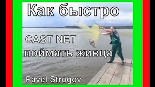 Самый быстрый способ ловли живца. Cast Netting.