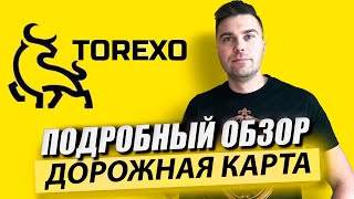 Torexo  подробный обзор маркетинга | Дорожная карта