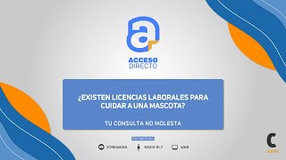 MÁS NOVEDADES 👨🏻‍💻 𝐀𝐂𝐂𝐄𝐒𝐎 𝐃𝐈𝐑𝐄𝐂𝐓𝐎 👨🏻‍💻 𝐓𝐮 𝐜𝐨𝐧𝐬𝐮𝐥𝐭𝐚 𝐧𝐨 𝐦𝐨𝐥𝐞𝐬𝐭𝐚