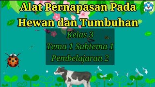 Alat Pernapasan pada Hewan dan Tumbuhan Kls 3 Subtema 1 Pembelajaran 2