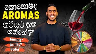 Mastering Wine Tasting: How to Identify Aromas Like a Pro | වයින් හරියටම රස විඳින හැටි