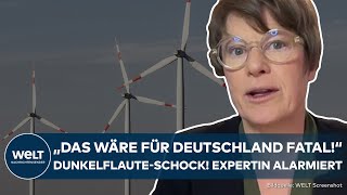 DUNKELFLAUTE: "Das wäre fatal" - Schock! Deutsche Industrie am Abgrund! Wirtschaftsweise Grimm warnt