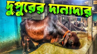 গরু মহিষের দুপুরের দানাদার খাবার ||  Purbasha Agro