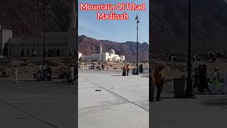 Jabal e Uhad Madina 🌍 Masjidenabvi 🌲 #madina #shorts #umrah