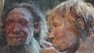 el sueño del neandertal