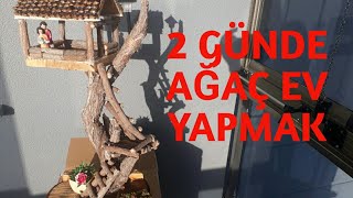 MİNİ AĞAÇ EV YAPIMI-SMALL TREE HOUSE CONSTRUCTİON