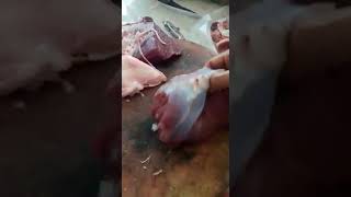 Daging sapi bergerak sendiri