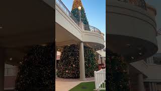 ⭐️🎄🦌Big Tree🦌🎄😱#subscribe #viral #youtube #youtubeshorts #christmas #tree #deer #reindeer #mall