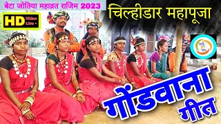 NEW GONDWANA SONG | चिल्ही दार महापुजा बेटा जोतिया राजिम | CHILHI DAR MAHAPUJA || RANGO 36RANG