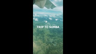 SUMBA TRIP DAY 1 & 2