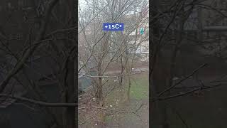 Весенний дождик в Ростове-на-Дону, 26.03.2024г☔💦