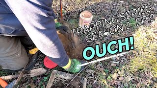 trapping series, season 2 , episode 2  (checking fox traps )