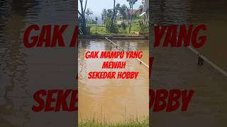 Gak Mampu Yang Mewah, Sekedar Hobby