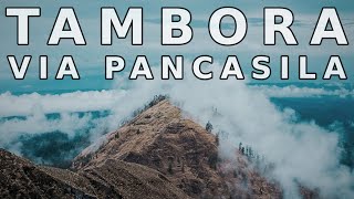 PENDAKIAN GUNUNG TAMBORA VIA PANCASILA (Estimasi Waktu, Jalur Tracking dan Syarat Terbaru)