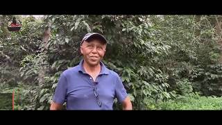 Interview with Ethiopian Coffee farmer | Split Rock Coffee