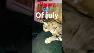 happy 4th of july #music #song #love #catlover #shorts #fyp #fypシ゚viral @YouTube