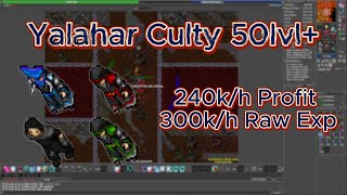 Tibia - Każda Profesja (FACC) 50lvl+ | Yalahar Culty | 240k+ Profit/H