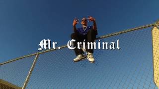 Mr.Criminal - Love It Or Hate It