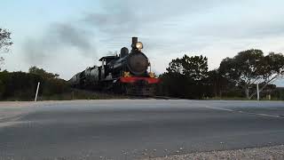 Steamranger Rx207/621 on Southern Encounter to Mt Barker 29/9/19