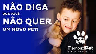 [Memorial Pet] Não diga que você não quer outro pet!