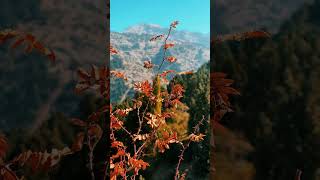 Beautiful Nature Scenery Relaxing Peaceful Soothing Music | Sleep Music