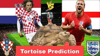 CROATIA vs ENGLAND Prediction | Speedy The Tortoise Prediction Semi-Final World Cup 2018