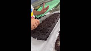 Choco fudge fresh from the oven #vlog #love #happy #yummy #foodie #cake #fun