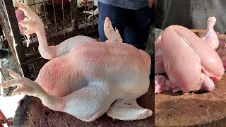 Most Fastest Chicken Cutting Skills By Professional Butcher || Cutting Skills | Cutting Video