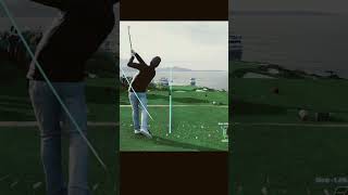 silky smooth / EA Sports: PGA Tour