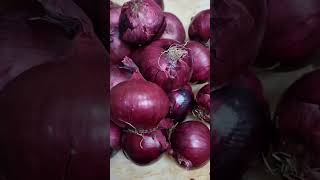 Red Onion #shortvideo #sibuyas