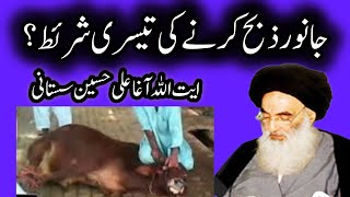 جانور ذبح کرنے کی تیسری شرئط ؟ janwar zihab kane ki 3 shart ||  toziulmasail || G.Murtaza Ameeni