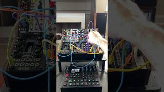 Sunday Jam With Syntakt and Eurorack Synths