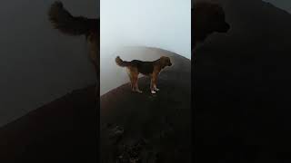 perro guía #activevolcanoes #activevolcano #livevolcano #adventure #mountain