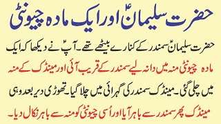 Hazrat suleman nabe or 1 mada cheonte||sabaq amoz waqiya||By girotee munda