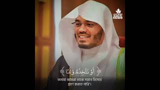 সুরা আল কাসাস ৭-১৪ •ইয়াসির আল দোসারি #emotional_recitation #yasseraldosary #ياسر_الدوسري #aldosary