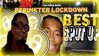 How To Make The Best Perimeter Lockdown On NBA 2K21!