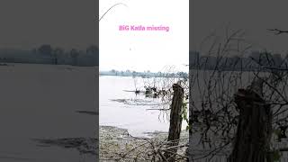 unique Fishing 🎣 Fisher man Catching in BiG katla Fishing