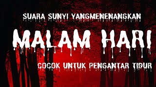 Suara sunyi di malam hari yang sangat cocok sebagai pengantar tidur!!! sound reflection!!!