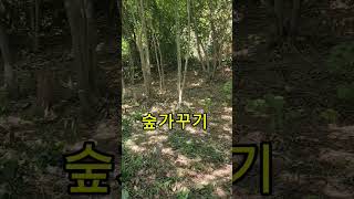 산림정원 라엘의 숲 여름철 농장관리  #라엘의숲  #숲가꾸기 #풀베기 친환경인증