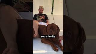 Why Did Messi Leave His Dog Behind?