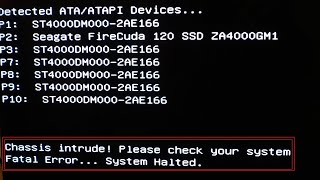 Chassis intrude! Please check your system Fatal Error ... System Halted.