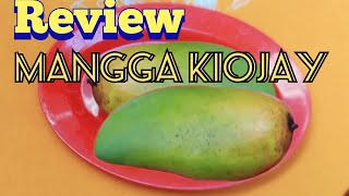 Review Mangga Kiojay