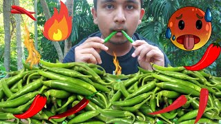 CHILLI EATING CHALLENGE | ASMR MUKBANG | HOTTEST CHILLIES 🌶️ | SPICY FOOD EATING VIDEOS | FOOD VlOG