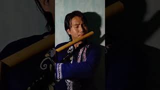 Lord Krishna flute music cover #shorts #krishna #radhakrishna #mahabharat #kyoupru #dhun #instrument