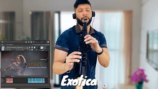 YAMAHA YDS-150 | SMOOTH JAZZ SOPRANO SAXOPHONE#windcontroller #yamahasaxophone #sopranosax