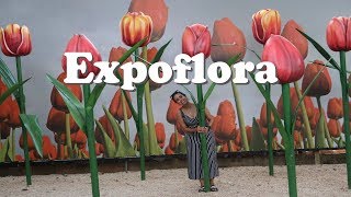 Como é a Expoflora? Holambra - SP