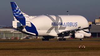 Beluga XL F-WBXL takeoff at Bremen Airport 16.11.2018