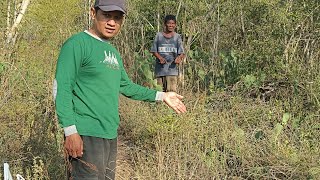 Horor perjalanan siang bolong di dalam hutan|| pengukuran Tanah